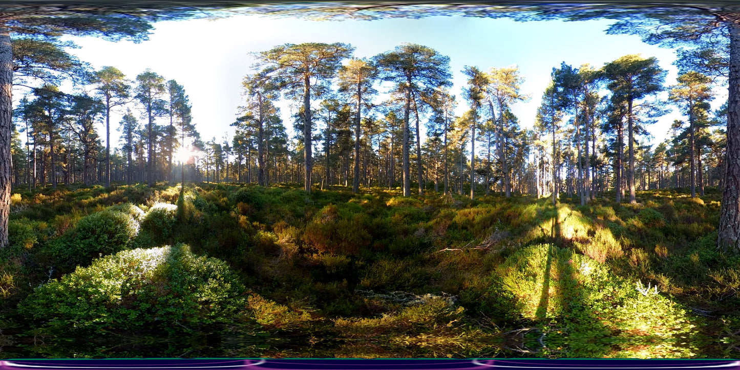 OOPS! The image you selected appears to be unreachable. Please try later.