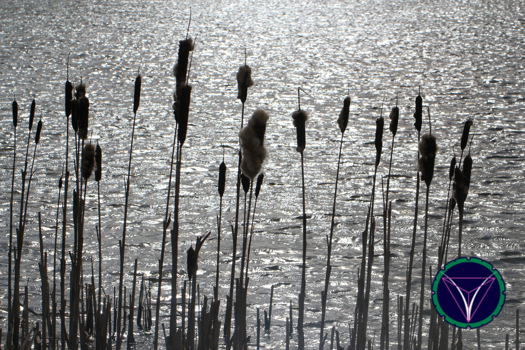 OOPS! The image you selected appears to be unreachable. Please try later.