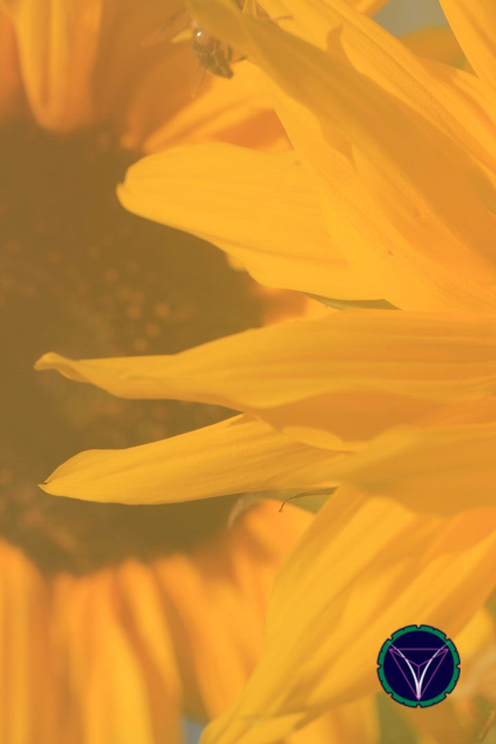 OOPS! The image you selected appears to be unreachable. Please try later.