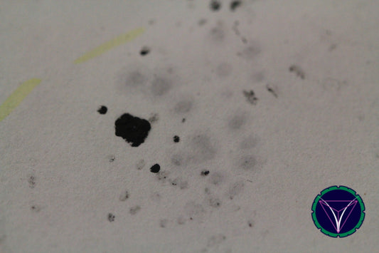 OOPS! The image you selected appears to be unreachable. Please try later.