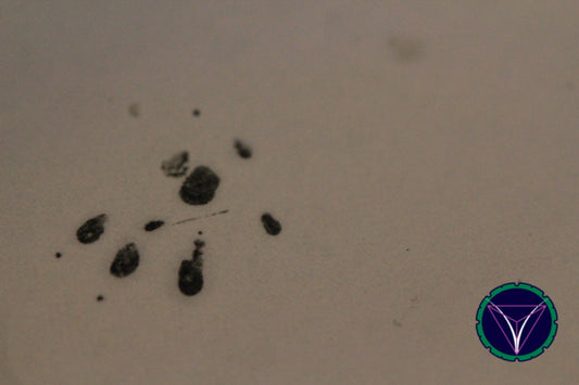 OOPS! The image you selected appears to be unreachable. Please try later.