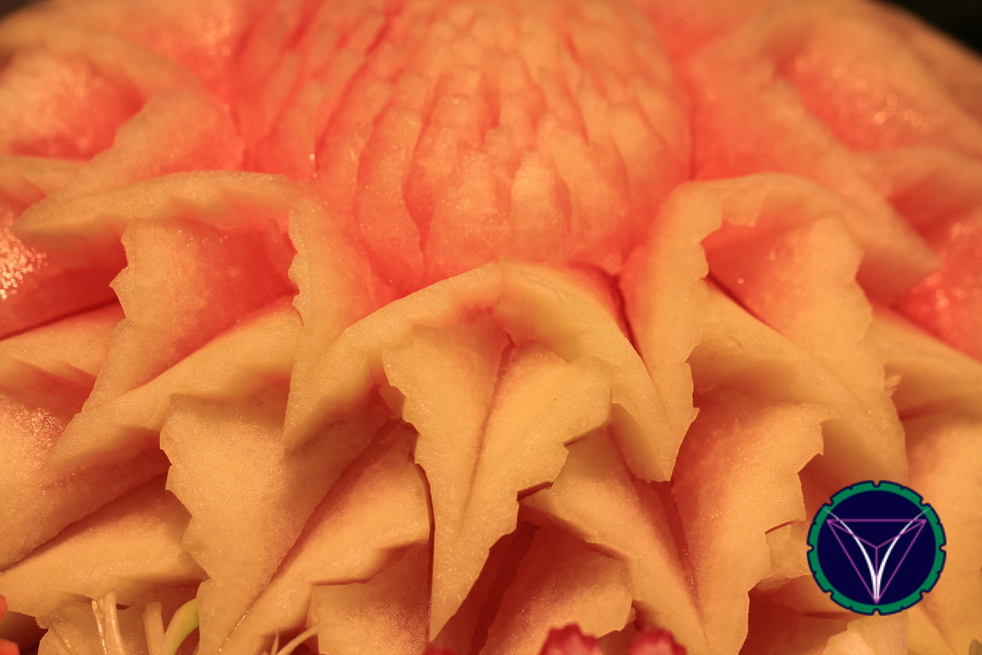 OOPS! The image you selected appears to be unreachable. Please try later.