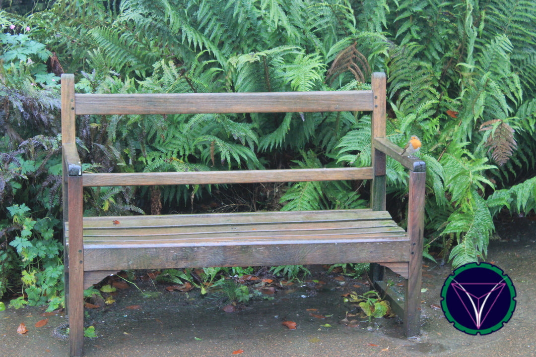 OOPS! The image you selected appears to be unreachable. Please try later.