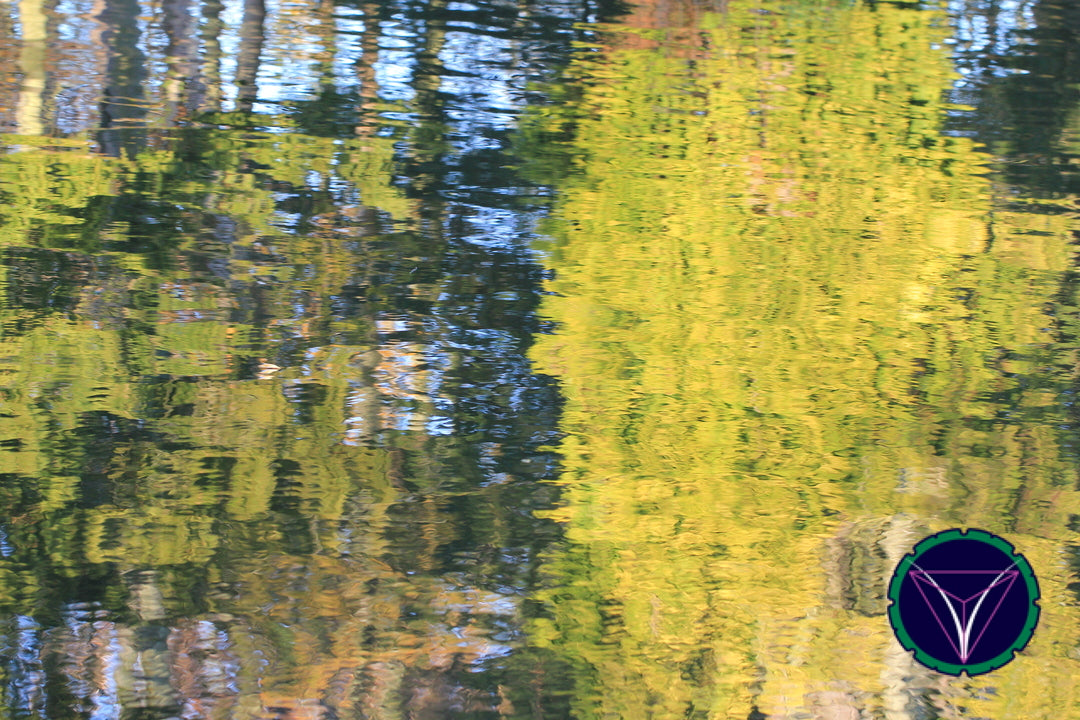 OOPS! The image you selected appears to be unreachable. Please try later.