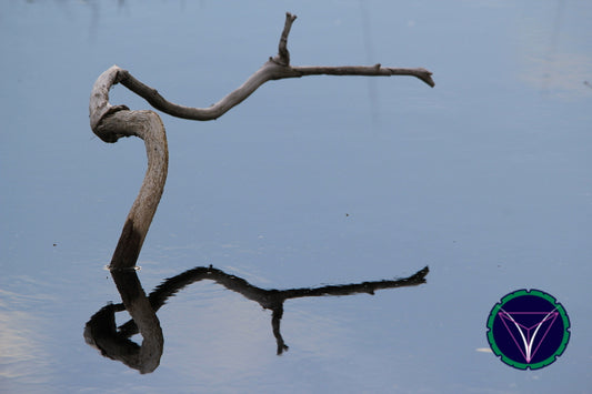 OOPS! The image you selected appears to be unreachable. Please try later.