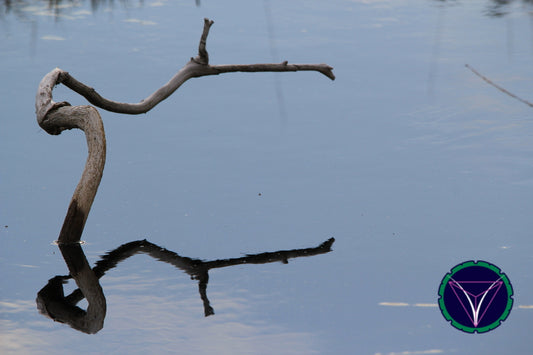 OOPS! The image you selected appears to be unreachable. Please try later.