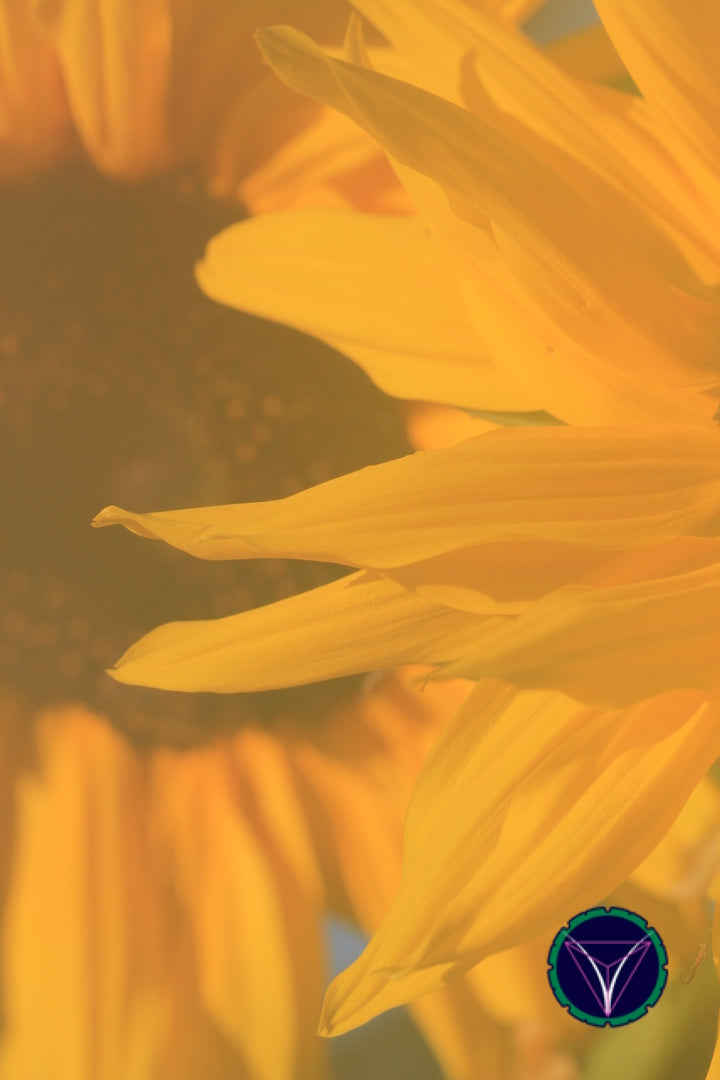 OOPS! The image you selected appears to be unreachable. Please try later.