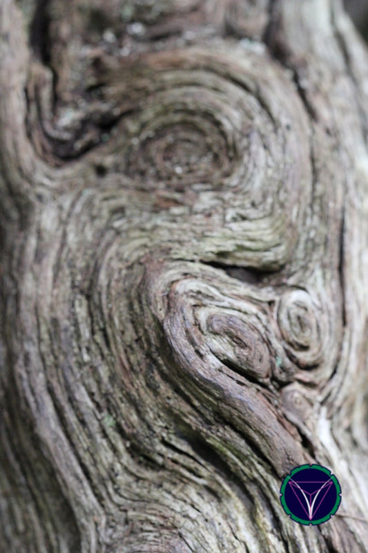 OOPS! The image you selected appears to be unreachable. Please try later.